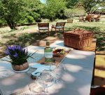 Cianna`s luxury farmhouse  features large vintage oaks